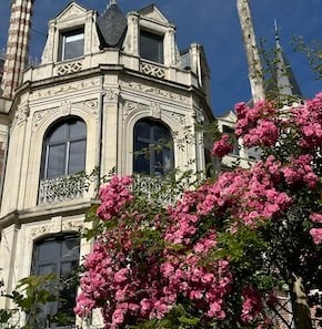 photo de fleur avec château en arrière plan pour représenter la biodiversité